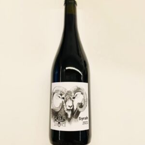 Losonci Syrah 2021