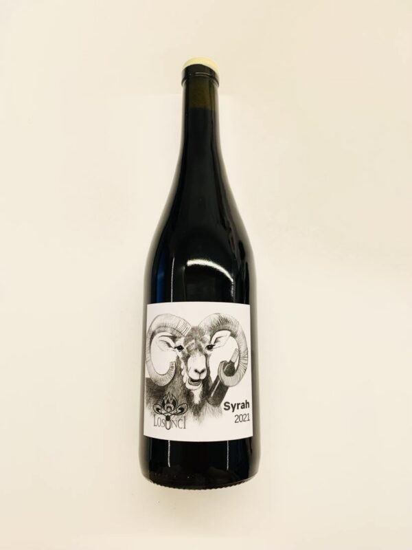 Losonci Syrah 2021