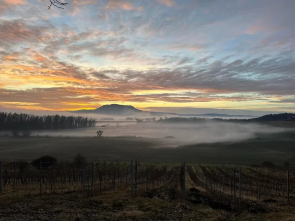 Illés Cabernet Franc 2023