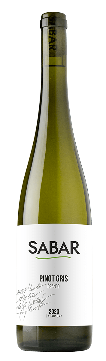 Sabar Pinot Gris Csángó 2023