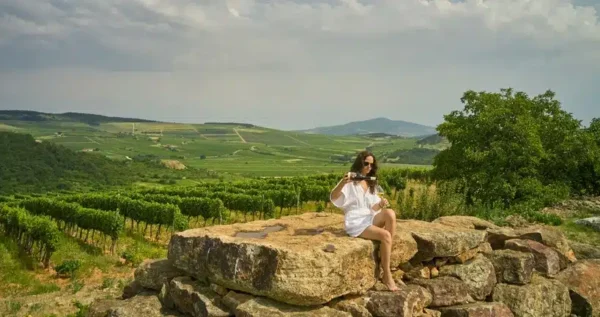Zsirai Tokaj Unmarked Sweet 2021