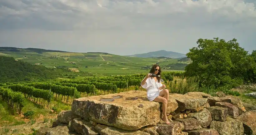 Wijngaard in Mád, Tokaj