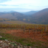 Zsirai Szent Tamás Furmint 2018