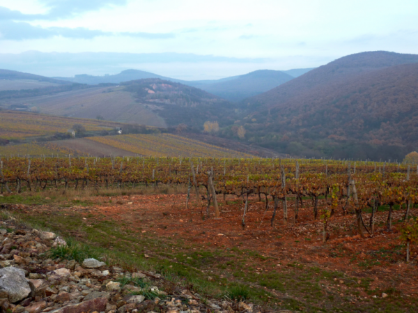 Zsirai Szent Tamás Furmint 2018